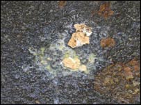 Фото надіслане нашим колегою Ігорем Масловим з дозволу ifportal.net