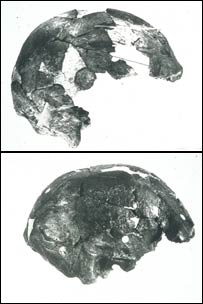 Crânios achados na Etiópia em 1967