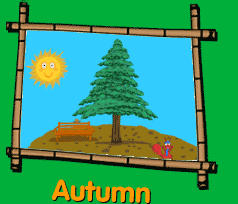 Autumn evergreen tree