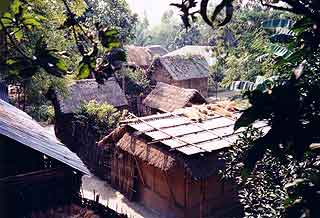 Homestead in northern rural Bangladesh