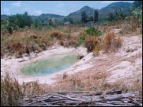 Ao vịt nhà thính giả Lê Ngọc Diệp