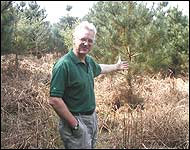 Rendlesham forester, Richard Davies