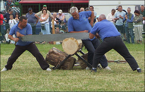 Great Dorset Steam Fair 2007