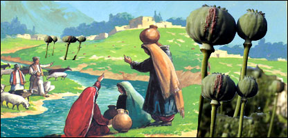 دکوکنارو غوزې