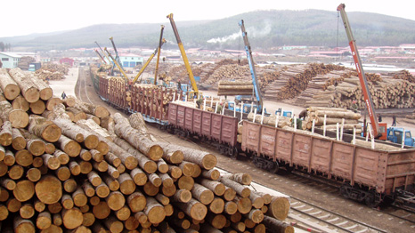 illegal logging from Siberia
