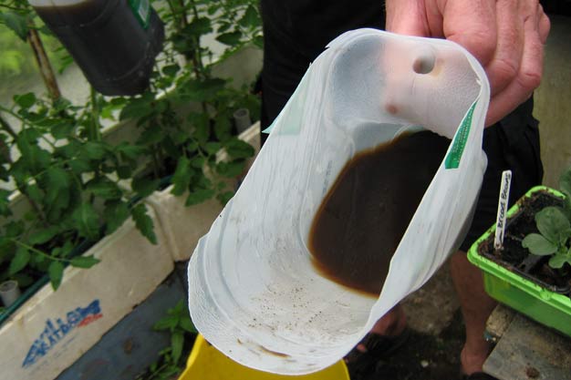 Worm tea