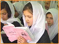 افغان زده کوونکي 