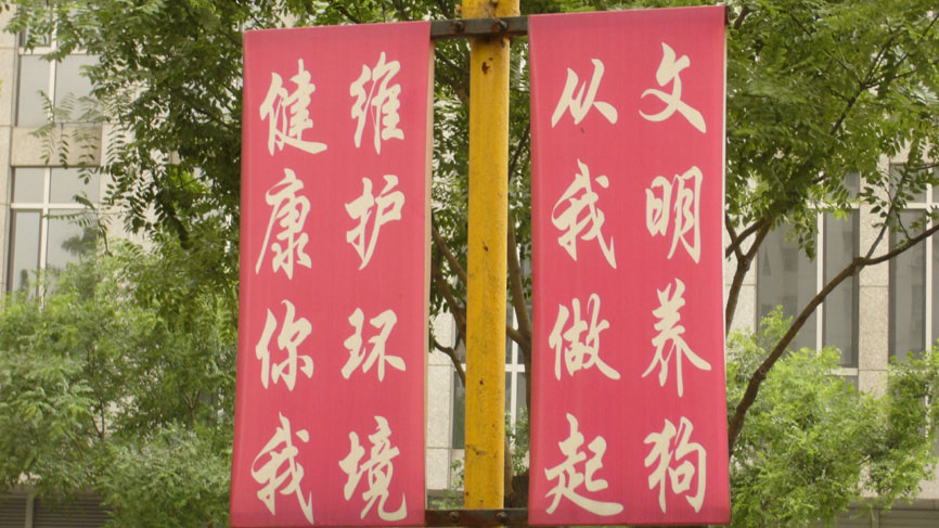 A sign warning against dog fouling - Beijing.