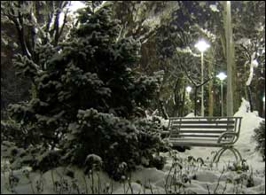 عکس از آرش الياسی