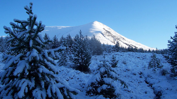 Ben Wyvis, snow clad in sunshine