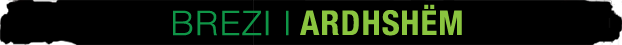 Brezi i Ardhshëm