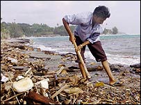 سونامی کی تباہ کاریاں