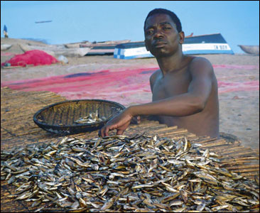 A fisherman dries his catch in Nkhata Bay