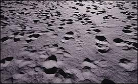 Making Our Mark by Sally Waterman