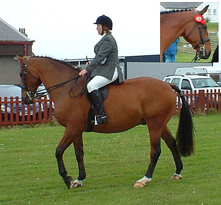 Almanac Jack at The Sanday Show 2007. Almanac Jack at The Sanday Show 2007.