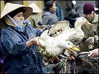 Prodej drůbeže v Asii