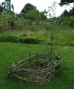 weed garden at Down House