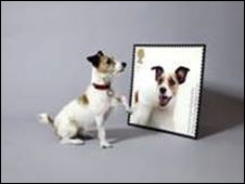 Selos comemorativos dos correios britânicos mostram cães e gatos (Royal Mail)