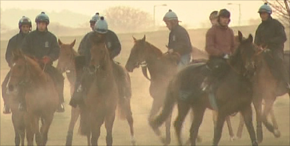 Race horses training at Newmarket