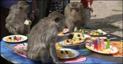 Banquete para macacos