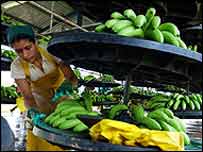 A banana worker