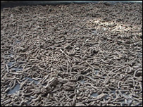 خوراکه های ماهی ها