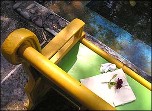 محمد فريدان