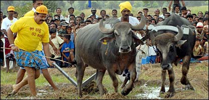 President invited JVP to join his government at a Wap Magul ceremony, last week