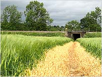 Stage Five: A field near Harboruogh - Picture by Chris Baxter