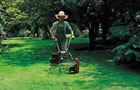 Man mowing lawn