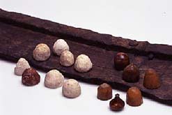 Bone, antler and ivory game pieces on fragment of hnefatafl board.