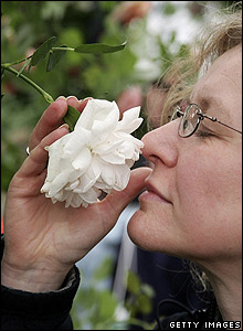 Gül koklayan bir ziyaretçi