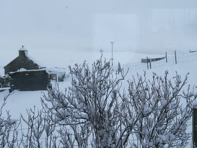 More snow