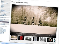 Your pictures of trees