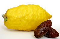 Photo of a etrog and dates
