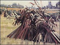 Stooks by Tony Williams