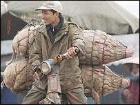 Vận chuyển lợn