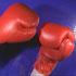 Boxing gloves