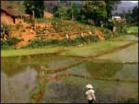 Làng quê Việt Nam