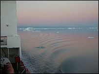 The ripples left from a whale