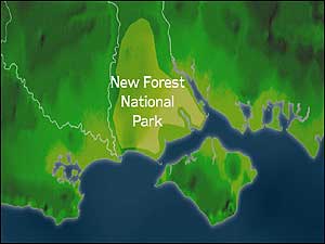 New Forest map