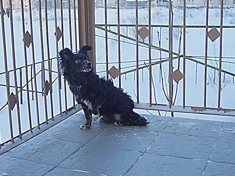 A cold winter's afternoon