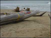 समुद्र तट