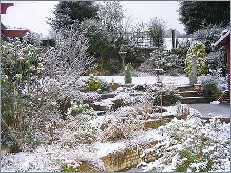 A crisp white Teignmouth garden