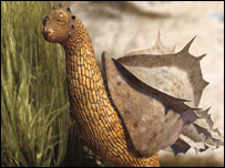 Imagem do "chupador-pulador" - Crédito da foto: ©The Future is Wild Limited - Pictural Charts Educational Trust