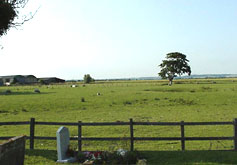 Romney Marsh