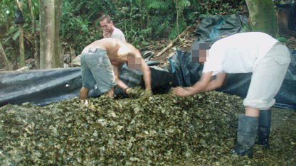 Bruce watches the illegal cocaine workers