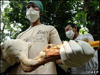 vườn thú Jakarta