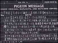 کبوتر کا پیغام