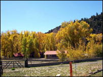 د بادام ګټې